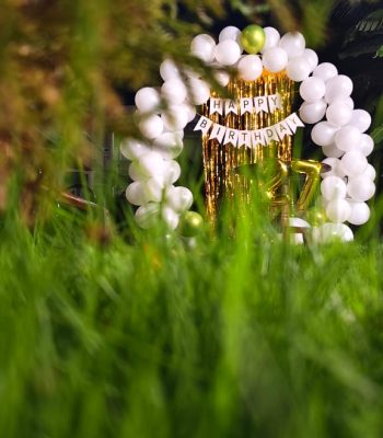 WhatsApp Image 2026-03-23 at 8.23.19 AM